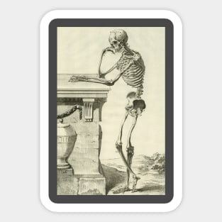 Vintage Science and Healthcare Skeleton, Human Anatomy by Denis Diderot. Sticker